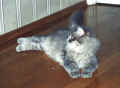 gordy42.jpg (47183 Byte)