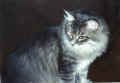 gordy43a.jpg (23051 Byte)
